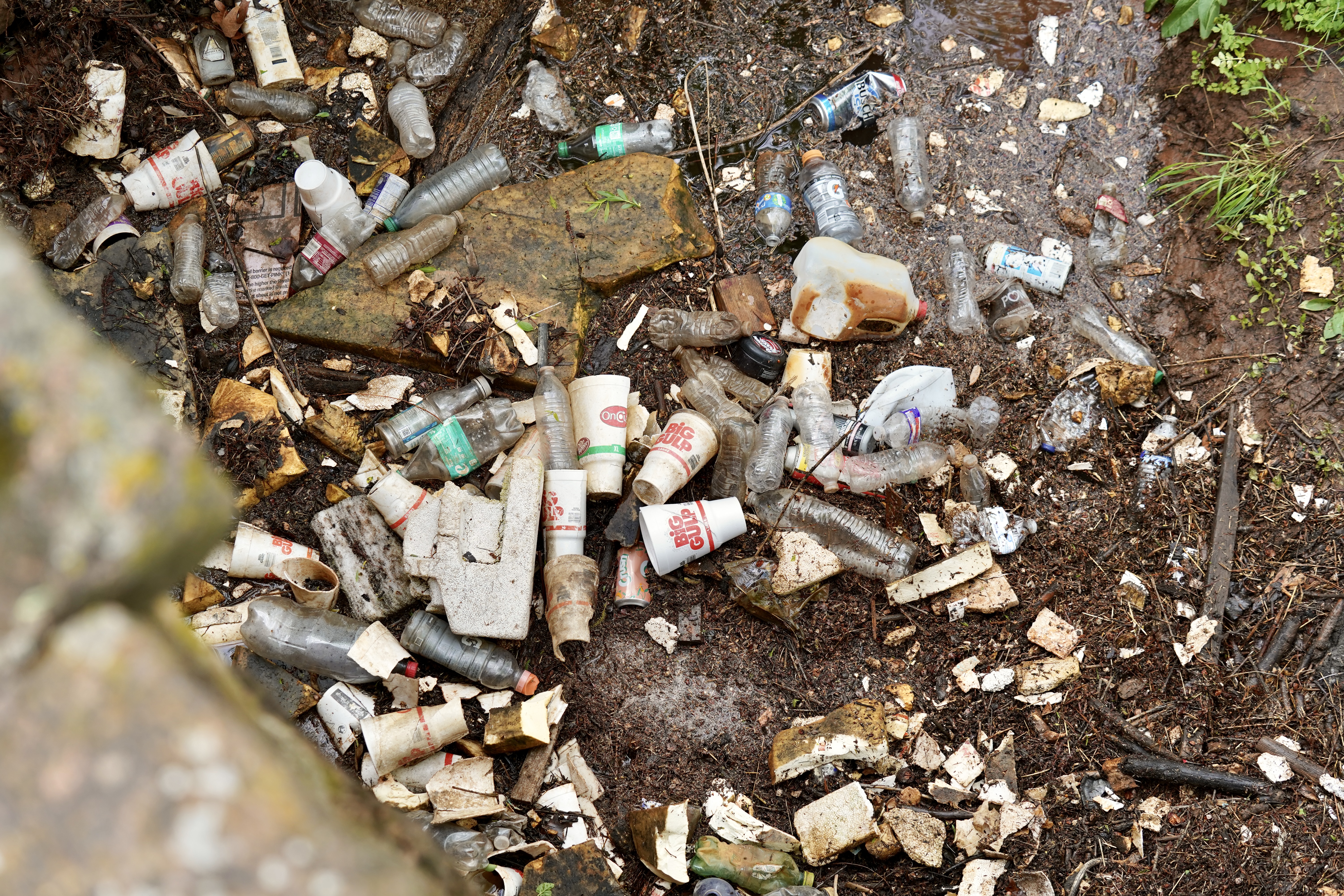 Oklahoma Clean Up — photo 6