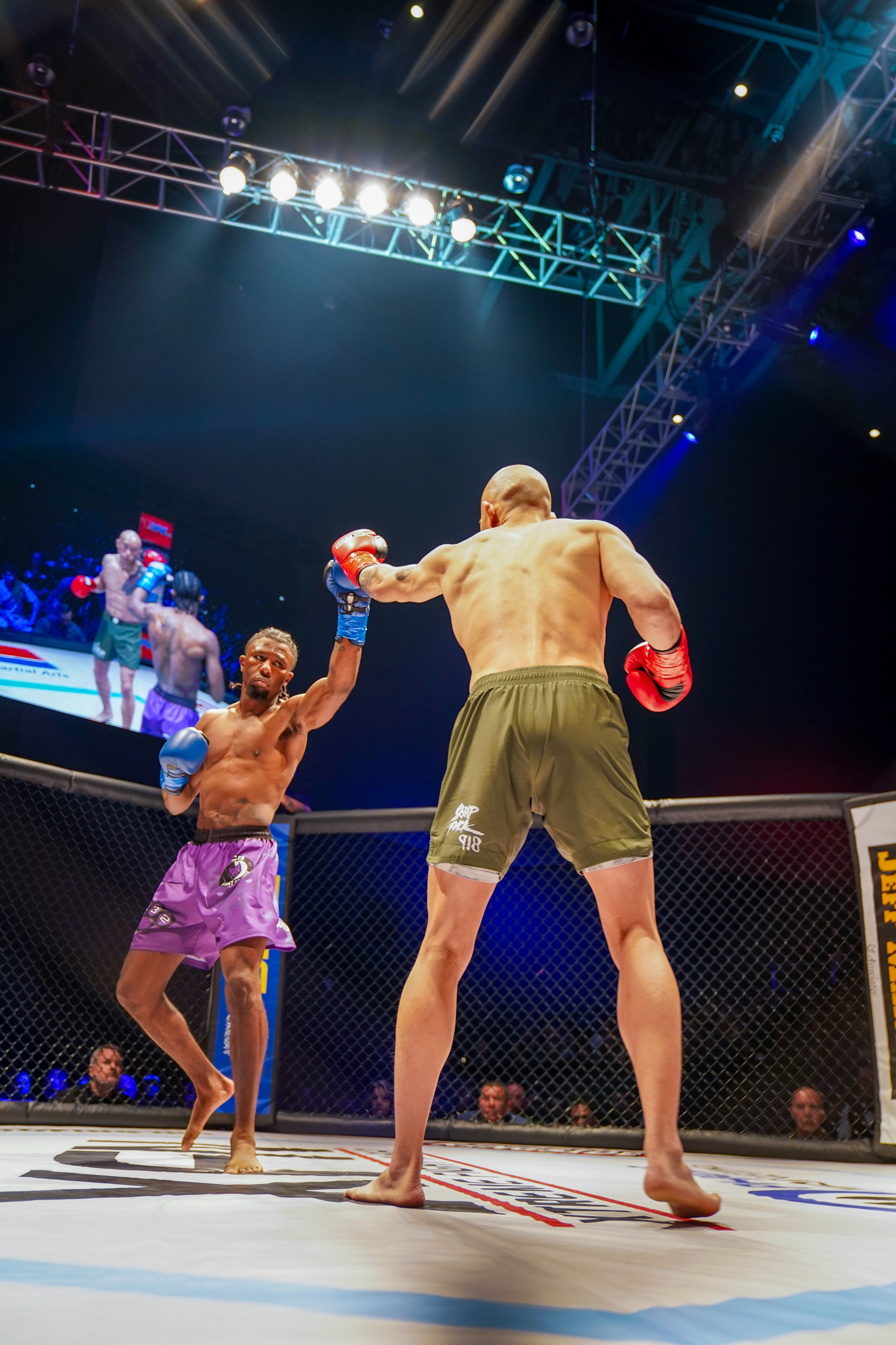 XFN: Alex Her — photo 2